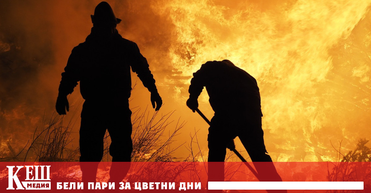 Взрив в най-голямата петролна рафинерия в Румъния, димът пое към Черно море