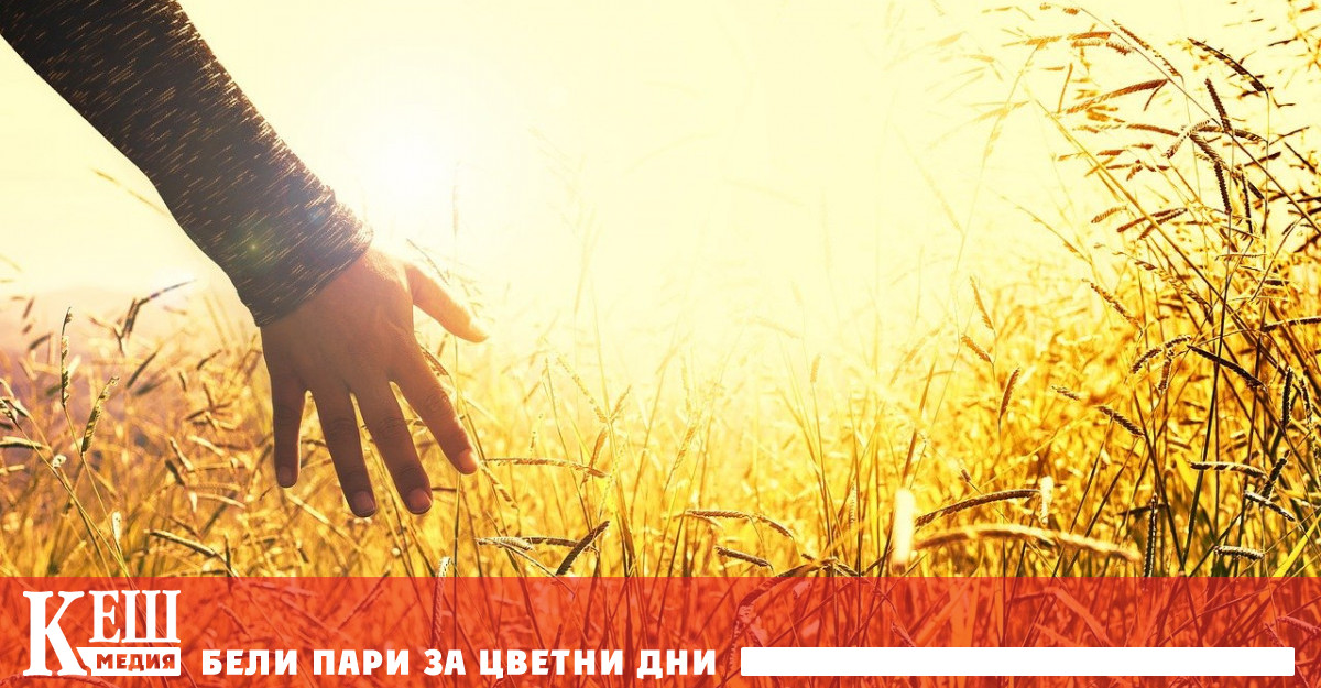 Стартираха кръстосаните проверки на ДФ „Земеделие“