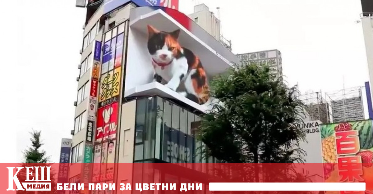 Огромен мяукащ 3D-котарак инсталираха на търговски център в Токио