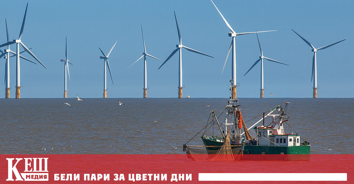 Офшорните вятърни платформи може да имат отрицателно въздействие върху риболова