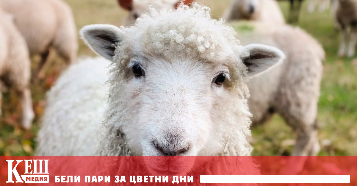 Започват теренните проверки на ДФ „Земеделие” за Кампания 2021