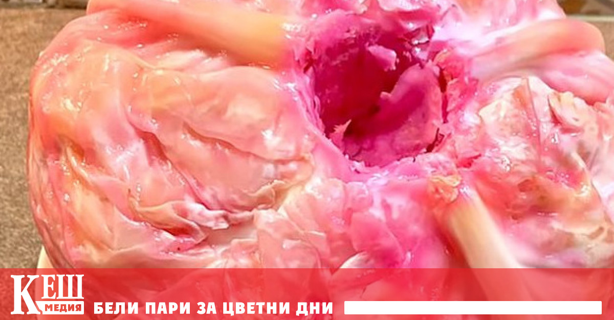 Учени установиха коя диета спасява организма от опасни възпаления