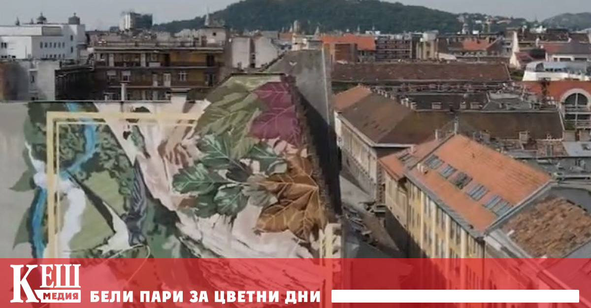 В Будапеща по стените на сградите се появиха необичайни екологични