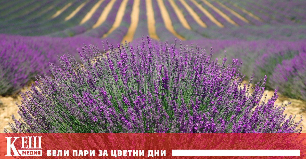 Превеждат субсидии от 9 млн. лева по ПРСР 2014-2020