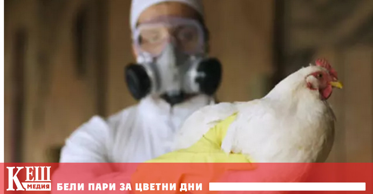 В Китай отново идентифицираха случай на заразяване на човек с птичи грип