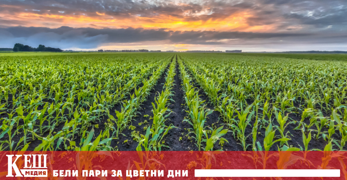 Земеделието все повече се превръща в обект на науката