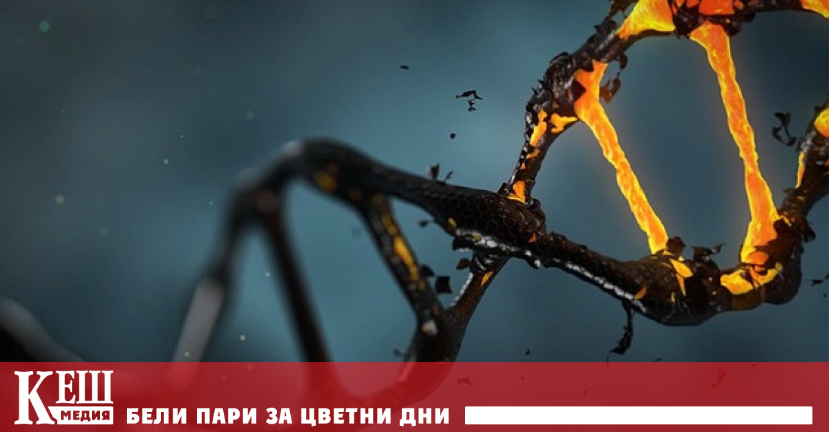 Учени откриха в почвата фрагменти от ДНК с неизвестен произход