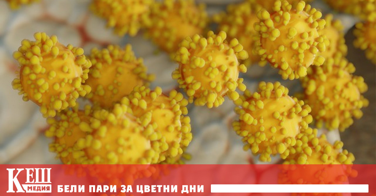 Да не се изключва версията за изтичане на коронавируса от лаборатория, предложи СЗО