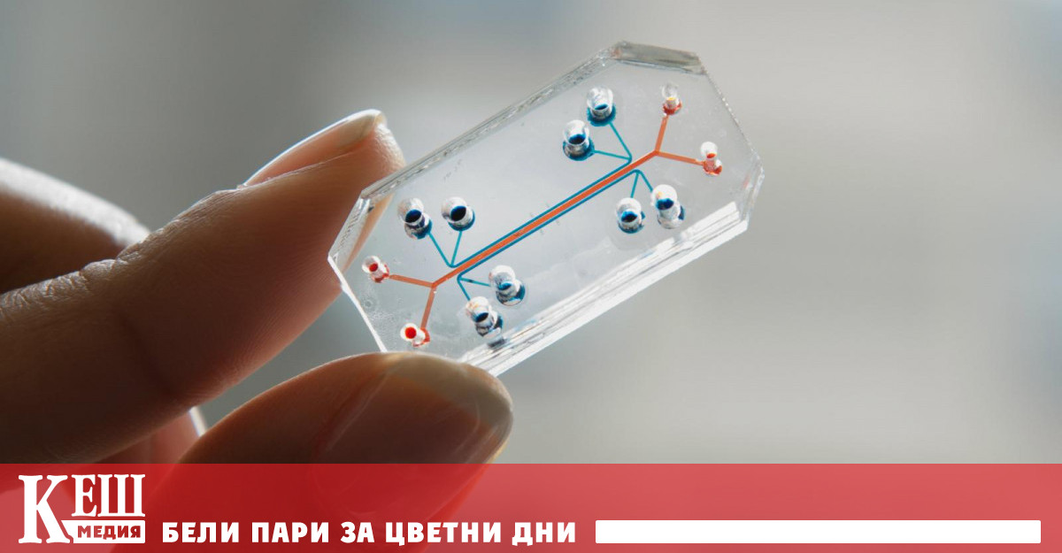 Имплант ще контролира циклите на сън и събуждане в бъдеще