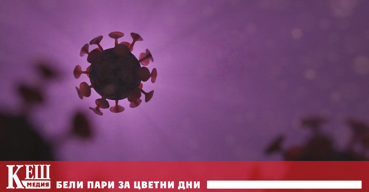 Aнтителата срещу коронавирус се запазват поне девет месеца