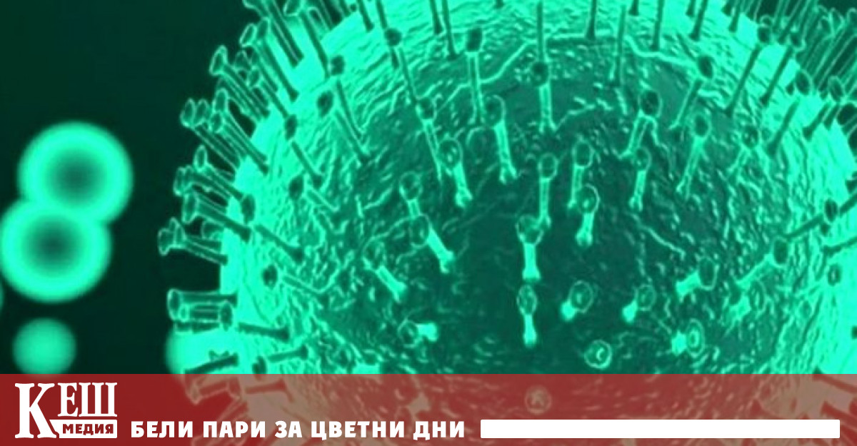 Коронавирусът може да се е появил по-рано, отколкото досега се предполагаше