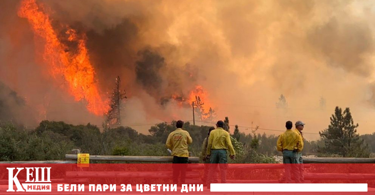 Игра с огъня отива на съд