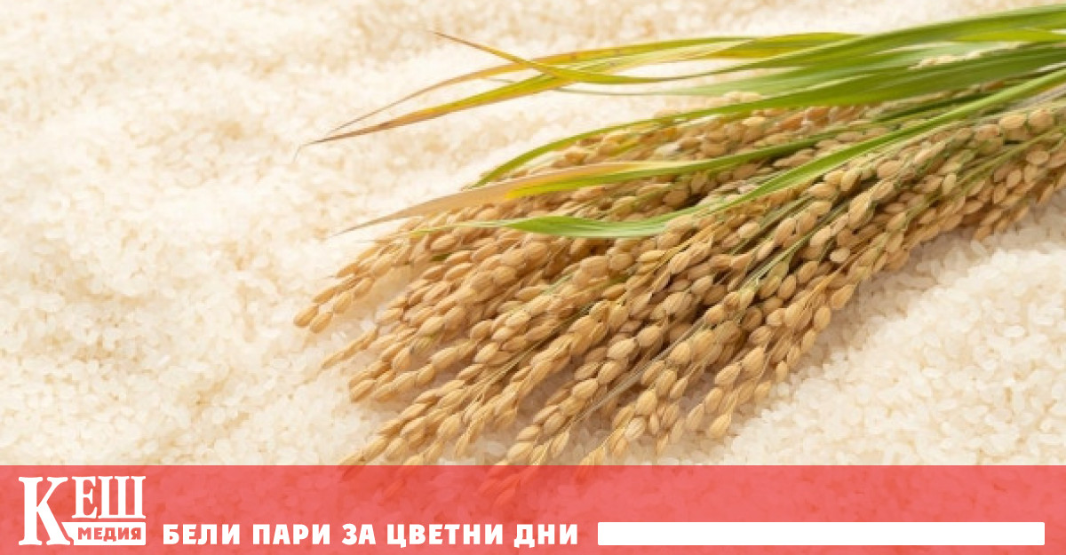 Модификация на РНК създава култури с 50% по-високи добиви