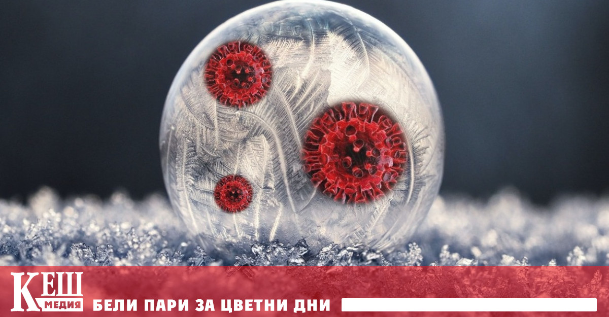 Нови, непознати до момента вируси бяха открити в тибетски глетчер