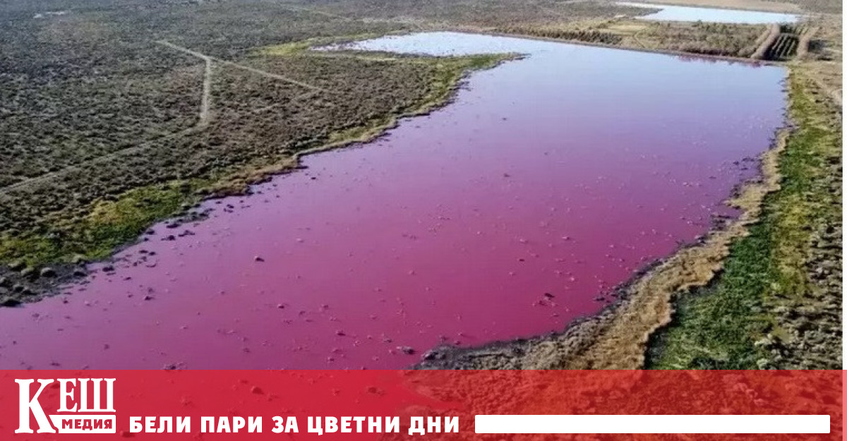 Морски залив в Южна Америка изведнъж се оцвети в розово