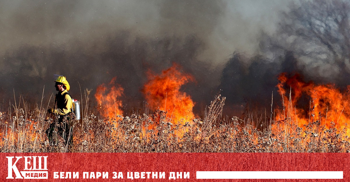 Горските пожари, а не пандемичните блокировки, са повлияли на климата през 2020 г.