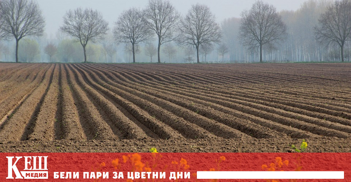 Министерство на земеделието започва теренни проверки на земеделски блокове