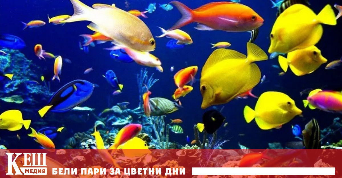 Британски учени измислиха нов начин за рециклиране на въглеродните емисии