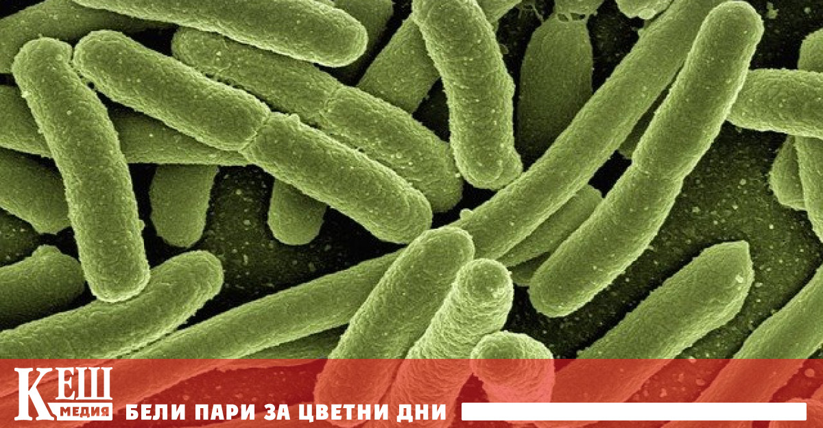 Извънредната епидемична обстановка се удължава от първи до 31 август 2021 г.