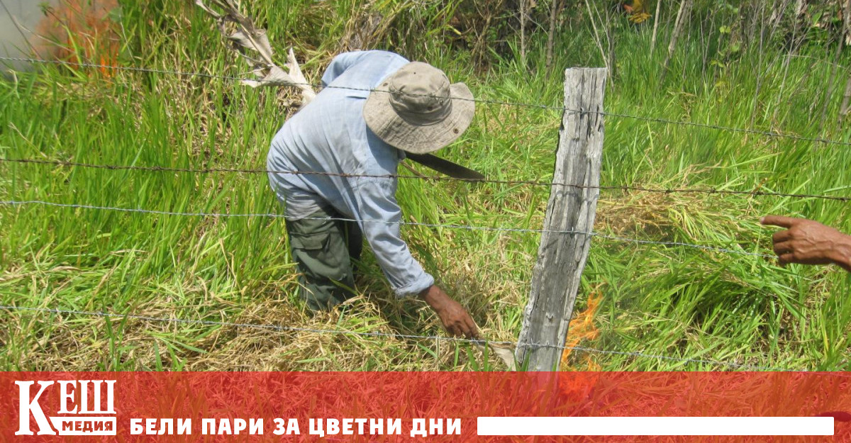 Приложна математика: колко човешки живота ще отнемат емисиите на CO2