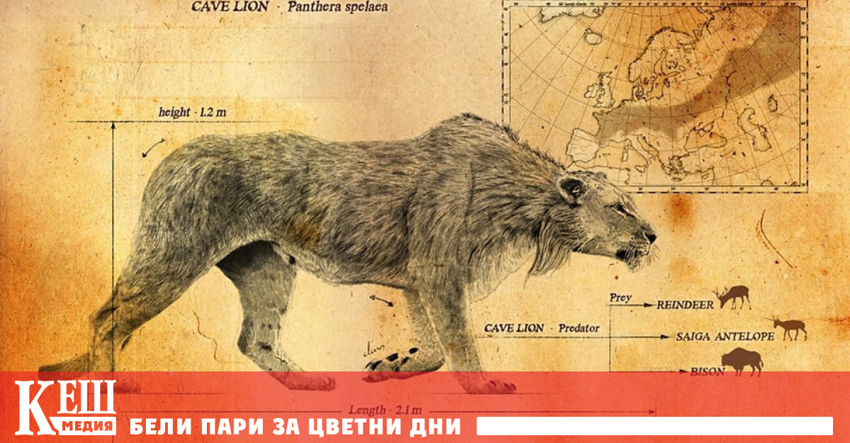 Ценна находка от ледниковата епоха