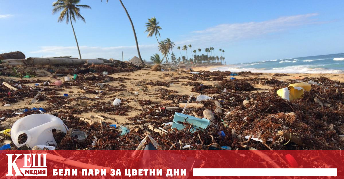 Еколози смятат Coca-Cola за главна причина за умирането на плажовете