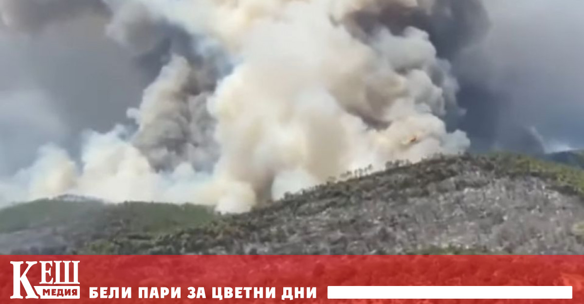 Горски пожари унищожават биоразнообразието в европейските резервати