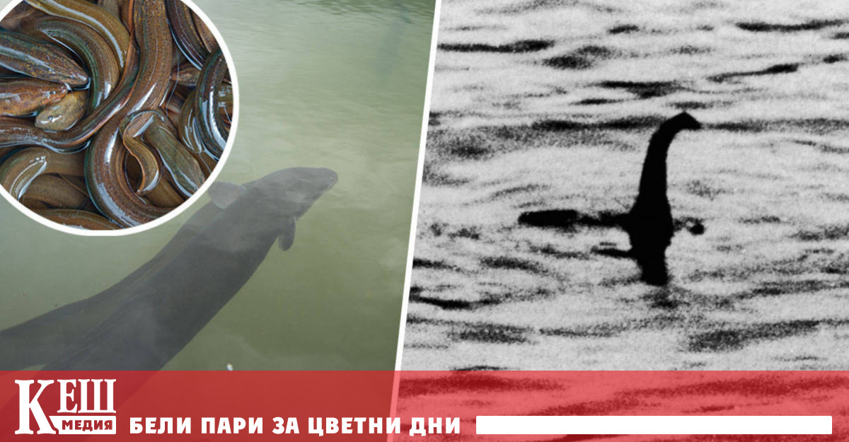 Чудовището от Лох Нес отбелязано в древно житие на светица