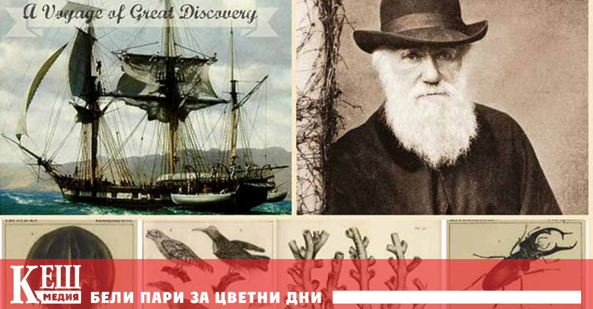 Какво всъщност е открил Чарлз Дарвин