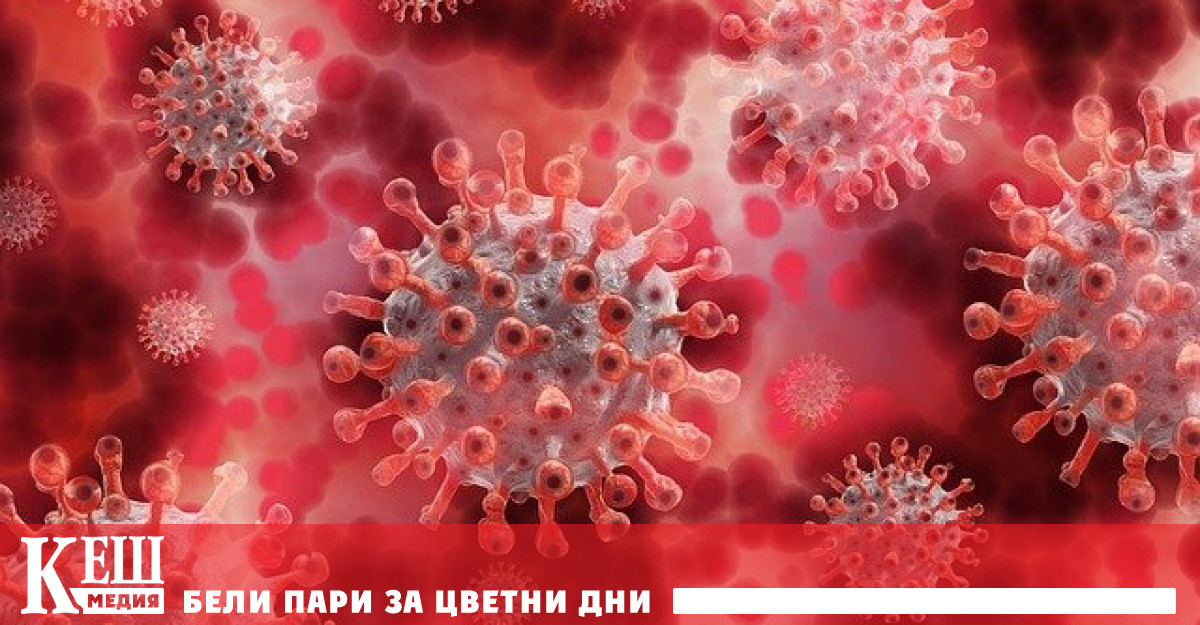 САЩ вече имат доклад за произхода на коронавируса