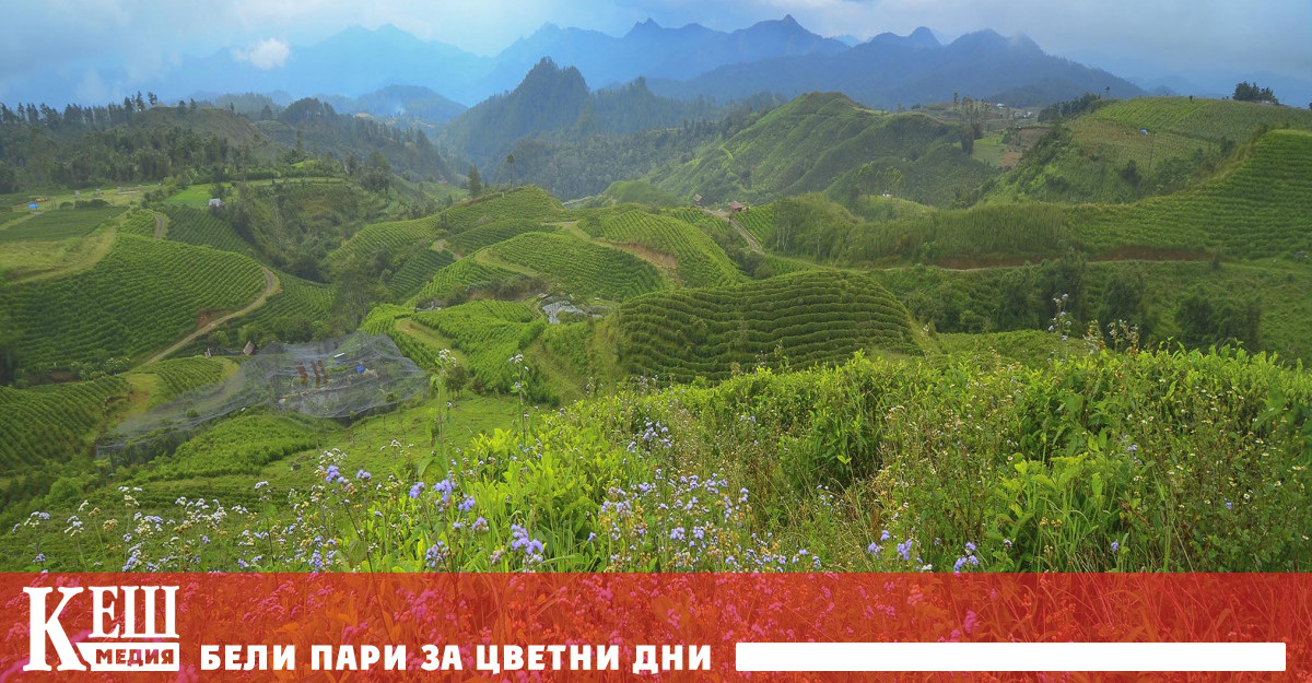 Открита е ДНК на неизвестна досега праисторическа общност