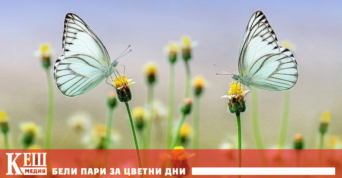 За да се поддържа природата в равновесие са необходими 1 трилион долара годишно