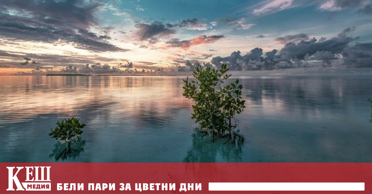 Човечеството води саморазрушителна война с природата