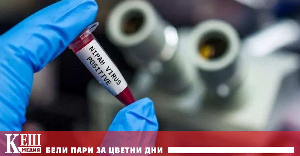 В Индия обявиха огнище на смъртоносния вирус Нипах