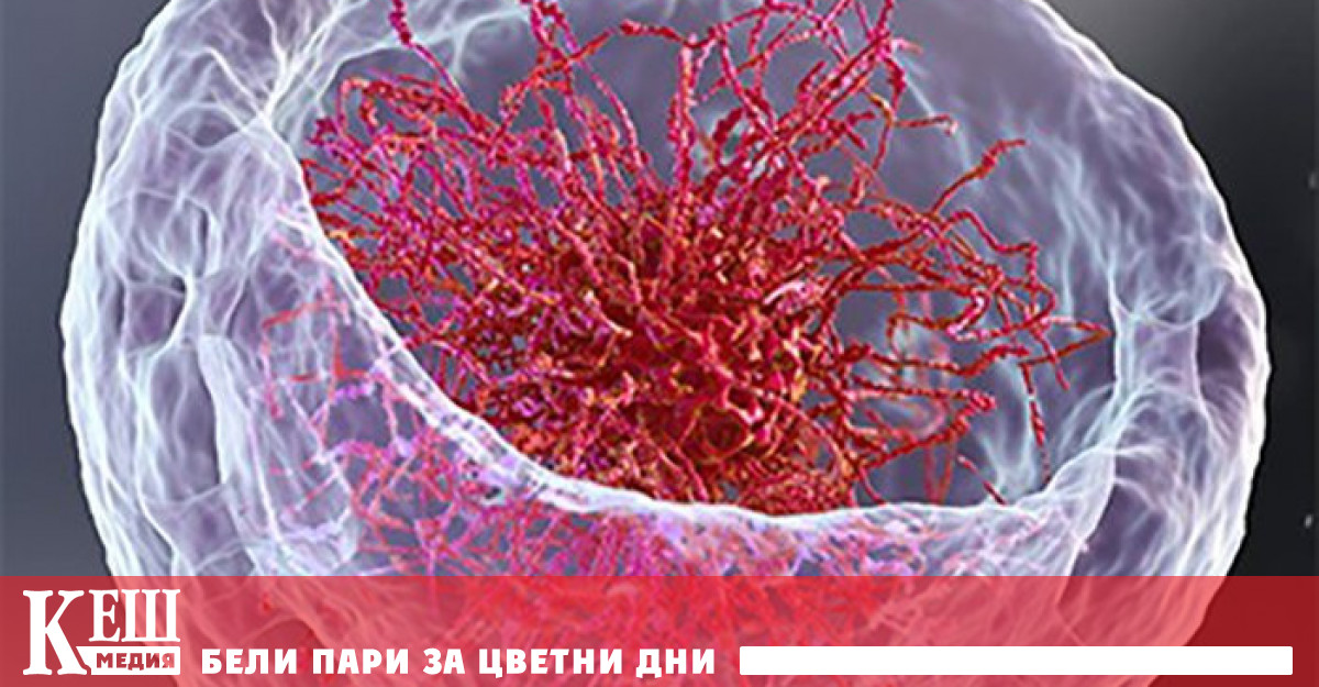 Учените показаха как в действителност изглежда ДНК в ядрото на клетката