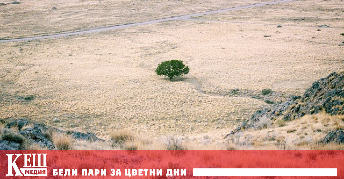 Европа я очаква екстремна суша