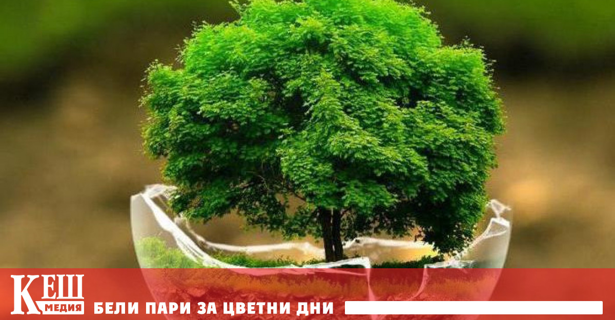 Възобновява се най-масовата онлайн образователна инициатива „Зелена олимпиада“