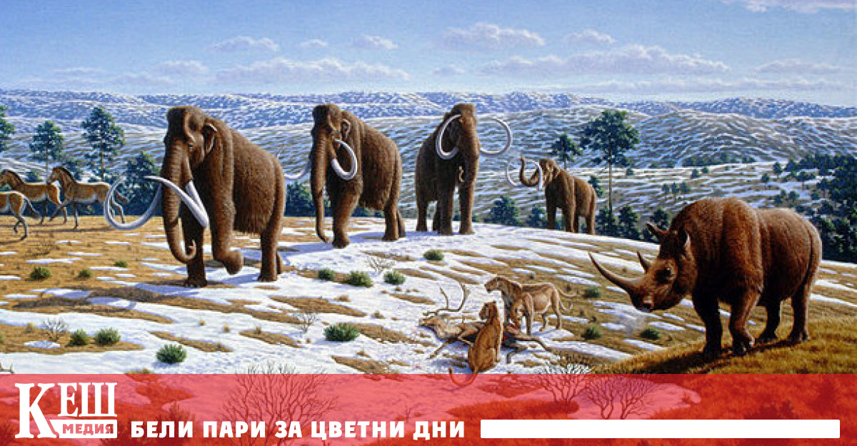 Компания инвестира 15 милиона долара за възкресяване на мамути
