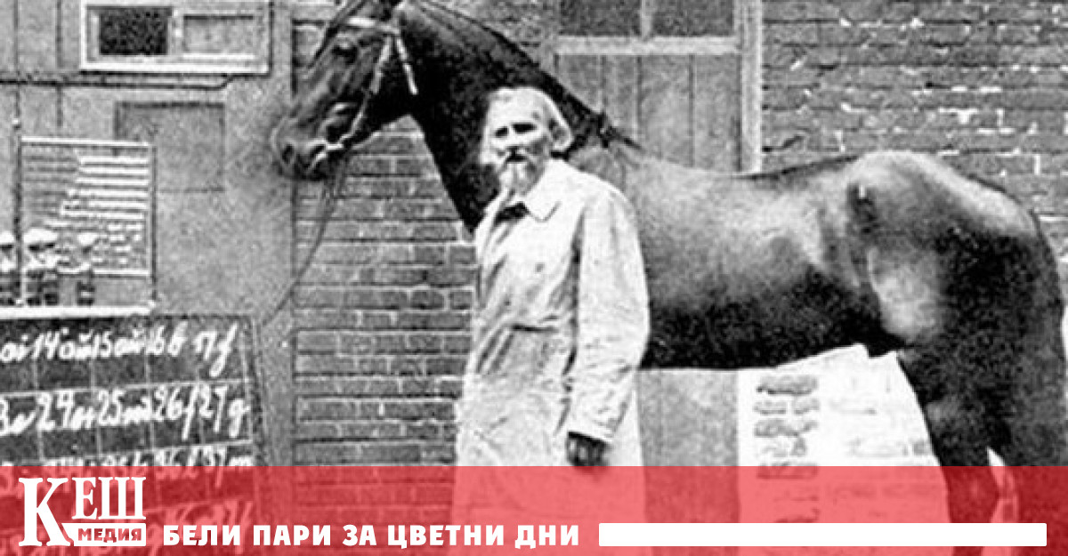 Съдбата на коня, чийто интелект е смятан за равен на човешкия