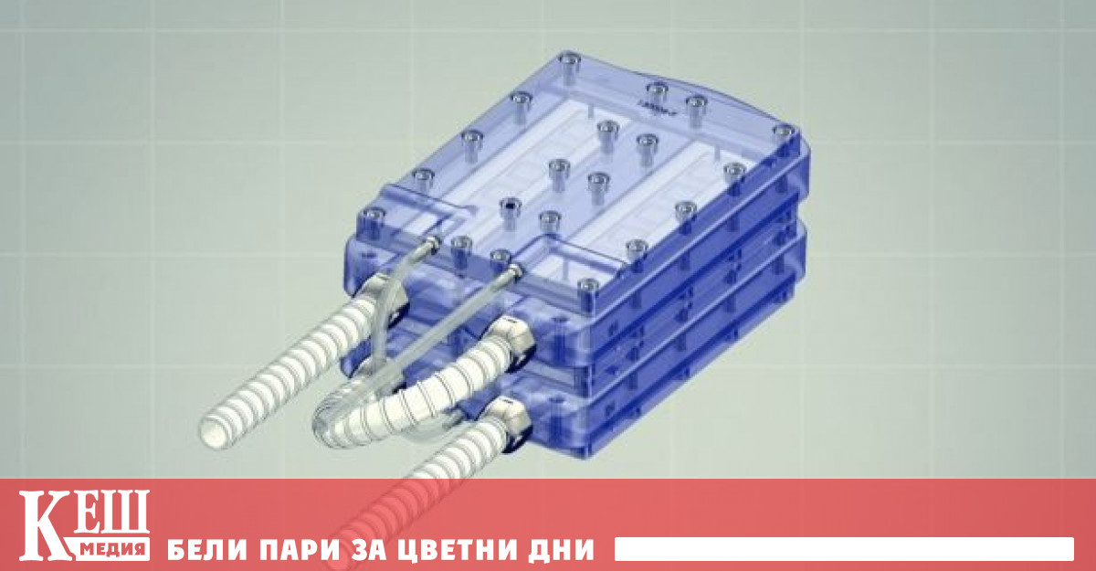Разработиха изкуствен бъбрек, работещ само чрез кръвното налягане