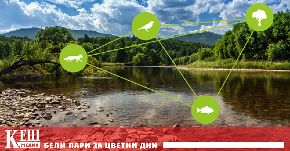 Биосферният резерват „Европейска Амазония”  обединява пет нации