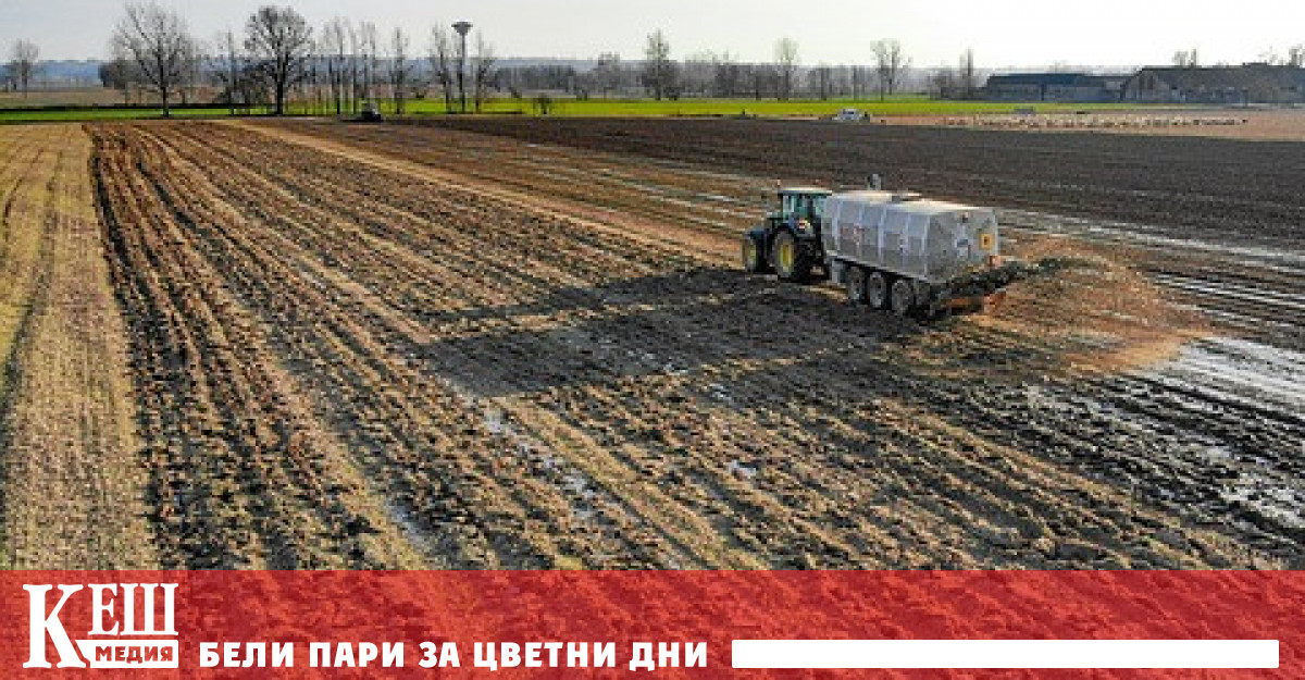 Продължава покачването на цените на храните в света