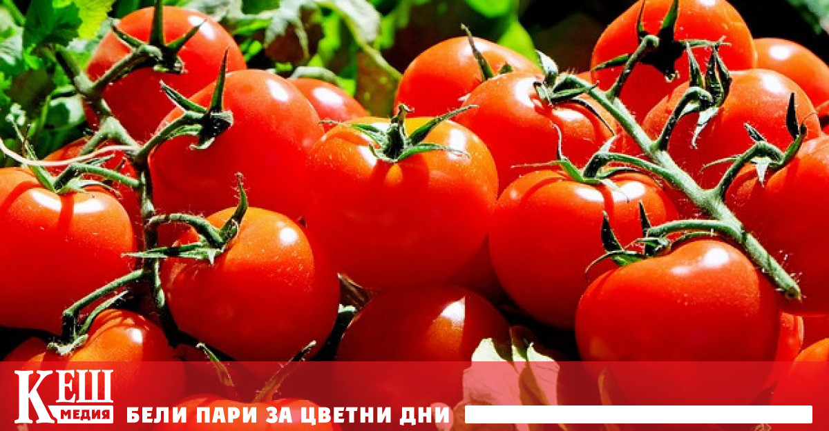 В Япония се продават домати с редактиран геном за лечение на хипертония