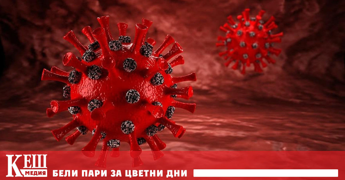 Групата от учени, изследващи произхода на коронавируса, е разпусната