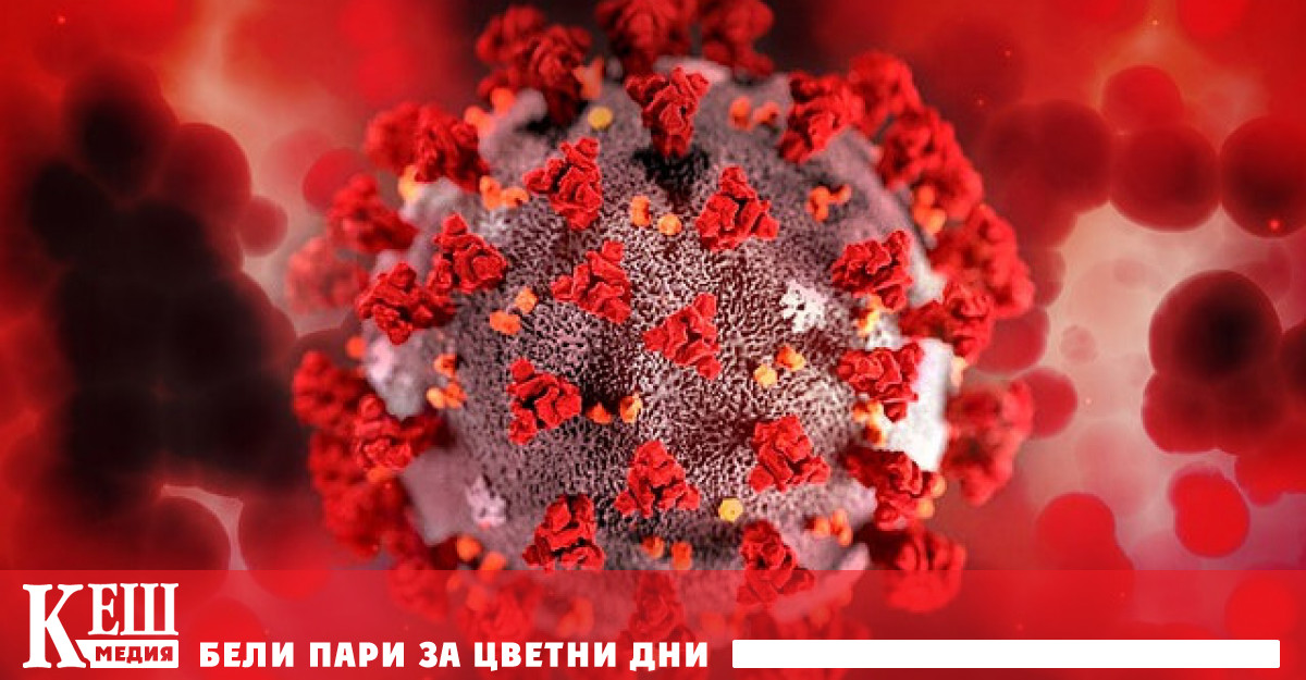 Разследването за произхода на коронавируса продължава с нов екип на СЗО