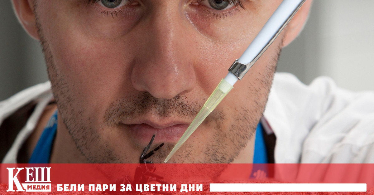 Лекарство от отрова на паяк дава шанс при инфаркт