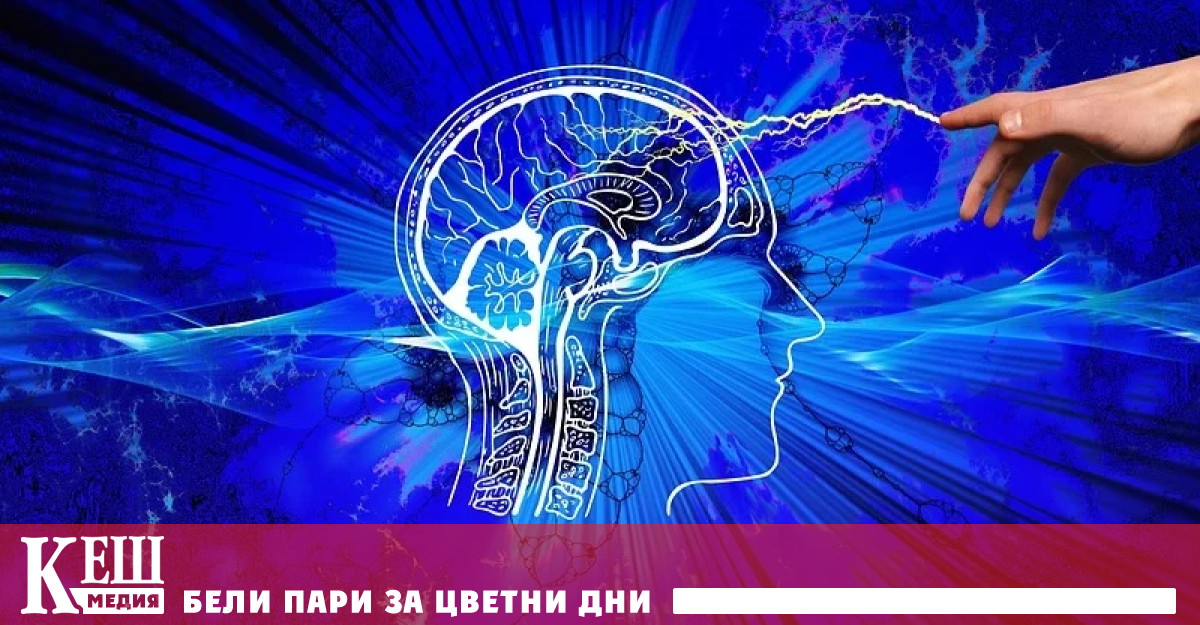 Открита е вероятната причина за почти всички неврологични заболявания