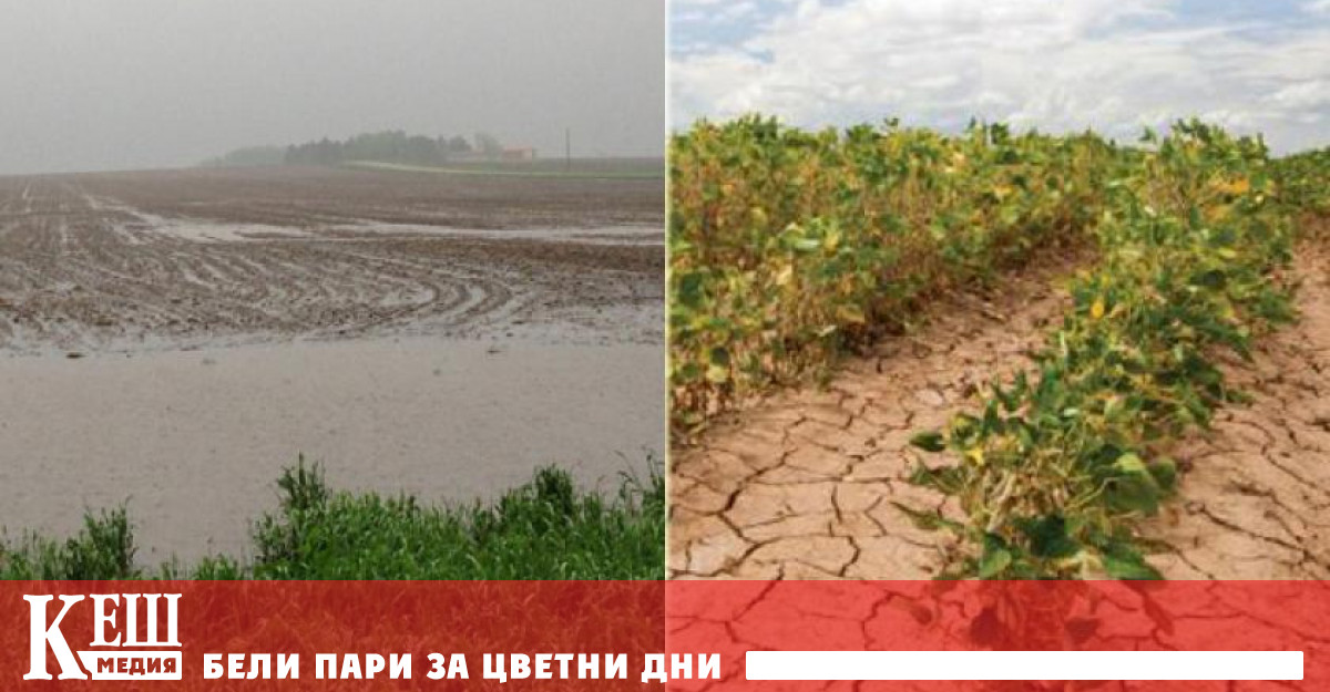 Водна криза, суша и природни бедствия очакват света