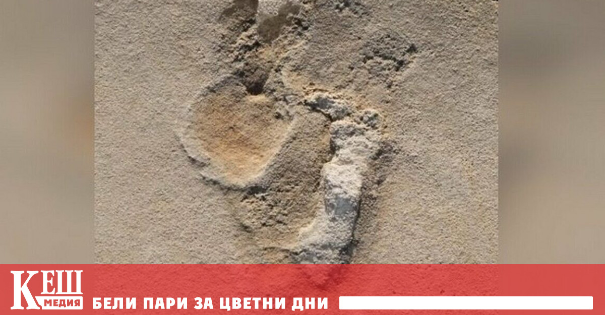 Археолози  откриха следи от древни хора на  6 милиона години