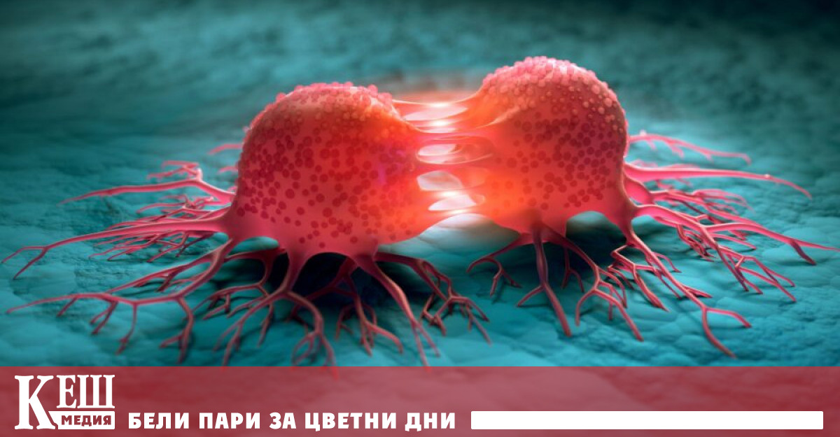 Учени откриха начин за забавяне растежа на раковите клетки